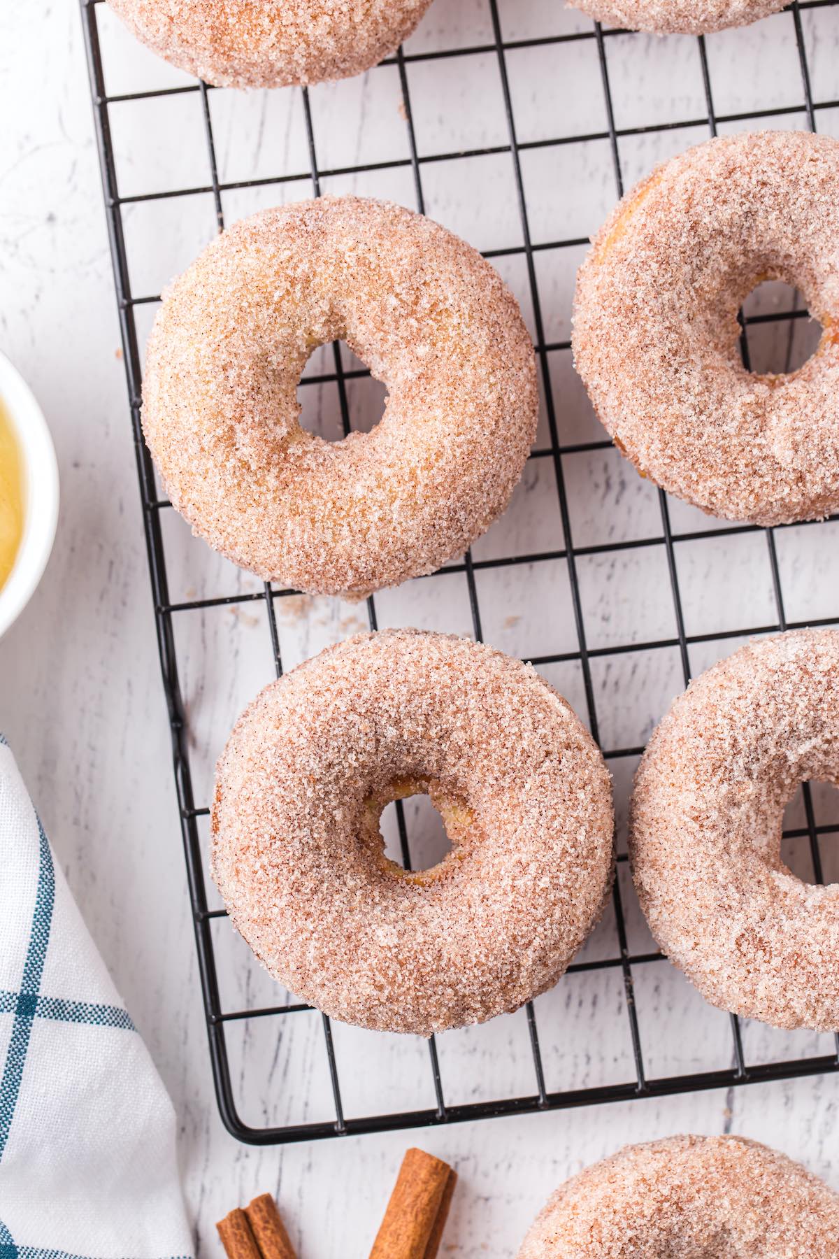 Baked Donuts (Cinnamon Sugar)