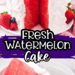 Fresh Watermelon Cake